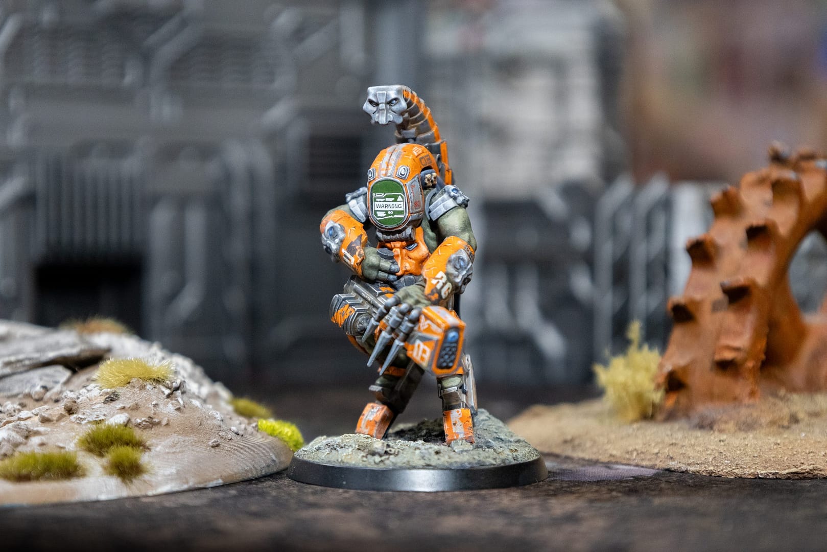 Provictus - Image 2